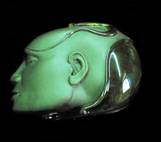 Sculptured Jade 'Global Head'
